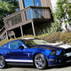 Illustration for article titled Shelby GT500